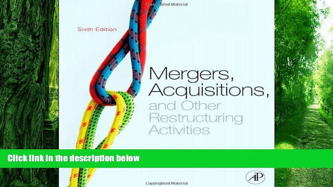 Big Deals  Mergers, Acquisitions, and Other Restructuring Activities, Sixth Edition: An Integrated