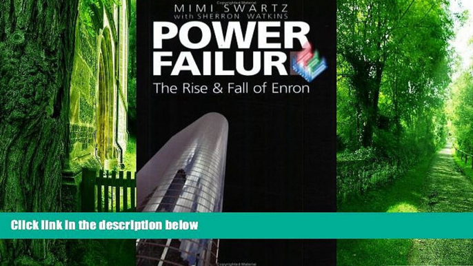 Big Deals  Power Failure: The Rise and Fall of Enron  Best Seller Books Most Wanted