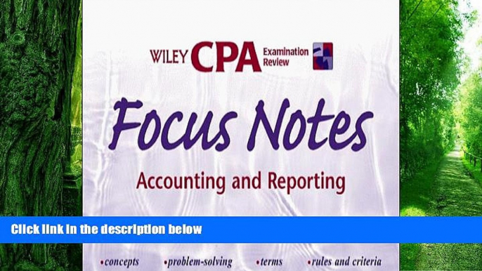 Big Deals  Wiley CPA Examination Review Focus Notes, Accounting and Reporting (CPA Examination