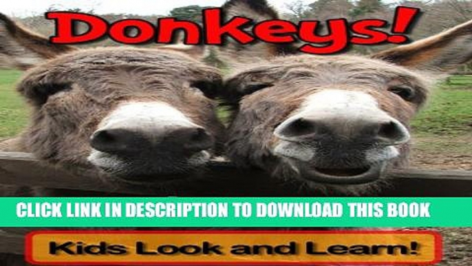 [New] Donkeys! Learn About Donkeys and Enjoy Colorful Pictures - Look and Learn! (50+ Photos of