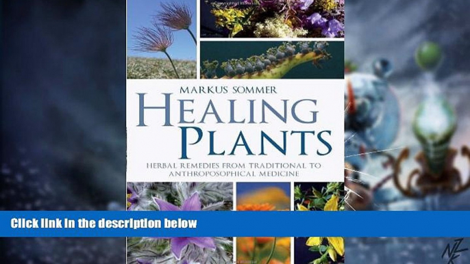 Big Deals  Healing Plants: Herbal Remedies from Traditional to Anthroposophical Medicine  Best