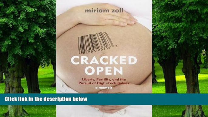 Big Deals  Cracked Open: Liberty, Fertility and the Pursuit of High Tech Babies  Best Seller Books