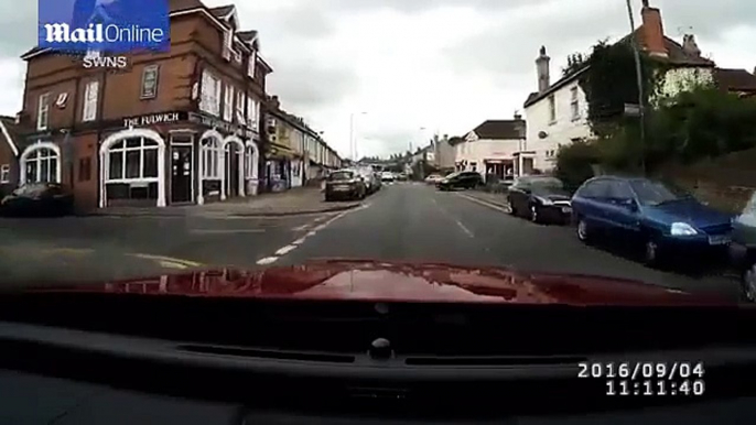 Driver stops to let a cat cross the road using zebra crossing