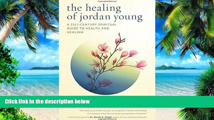 Big Deals  The Healing of Jordan Young: A 21st Century Spiritual Guide to Health and Healing  Best