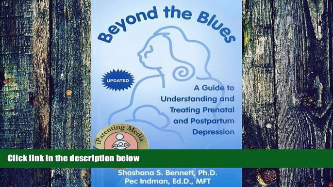 Big Deals  Beyond the Blues: A Guide to Understanding And Treating Prenatal And Postpartum