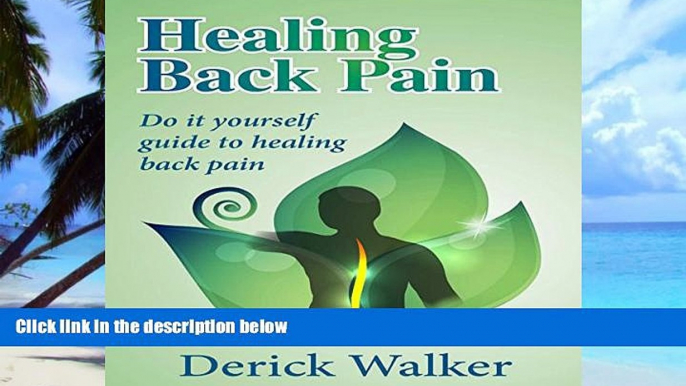 Big Deals  Healing Back Pain: Do-It-Yourself Guide to Healing Back Pain  Best Seller Books Most