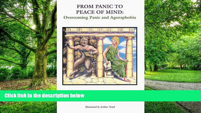 Big Deals  From Panic to Peace of Mind: Overcoming Panic and Agoraphobia  Best Seller Books Best