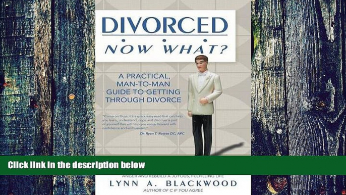 Big Deals  Divorced... Now What? A Practical Man-to-Man Guide to Getting Through Divorce  Free