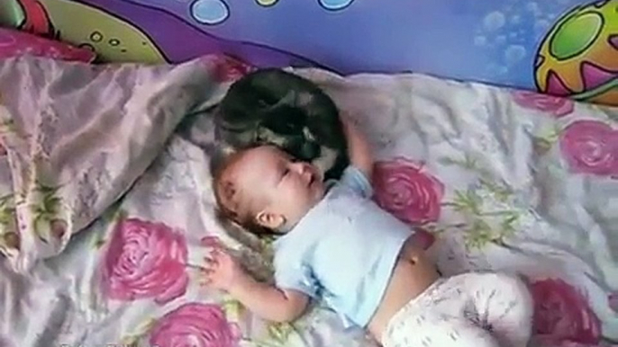 Réaction incroyable d'un chat qui vient consoler un bébé en pleurs