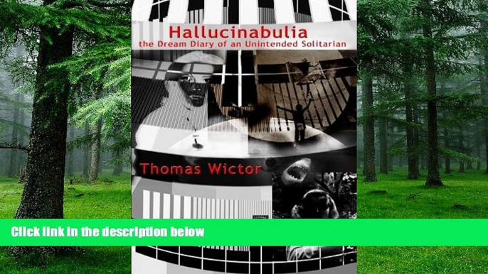 Big Deals  Hallucinabulia: the Dream Diary of an Unintended Solitarian  Free Full Read Most Wanted