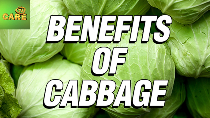 TOP Health Benefits Of Cabbage | Care Tv