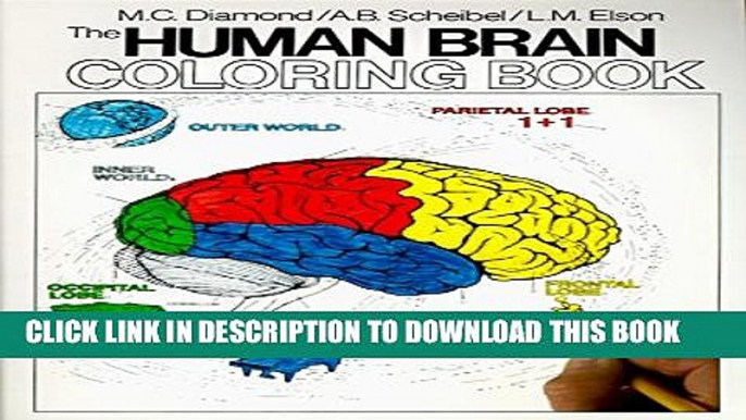 [PDF] The Human Brain Coloring Book (Cos, 306) Full Colection