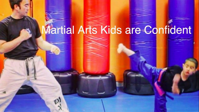 syosset martial arts center syosset ny