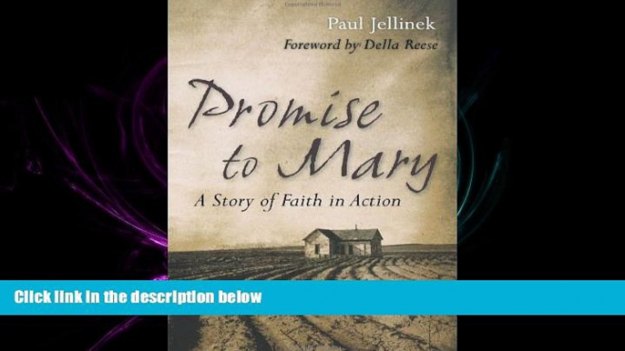 behold  Promise to Mary: A Story of Faith in Action