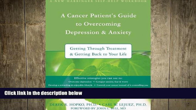 Big Deals  A Cancer Patient s Guide to Overcoming Depression and Anxiety: Getting Through