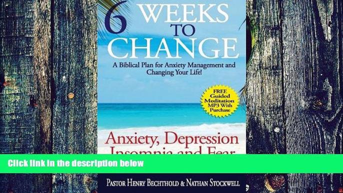 Big Deals  Anxiety, Depression, Insomnia and Fear: Six Weeks to Change, A Biblical Plan for