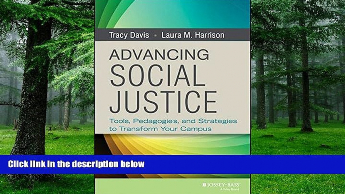 Big Deals  Advancing Social Justice: Tools, Pedagogies, and Strategies to Transform Your Campus