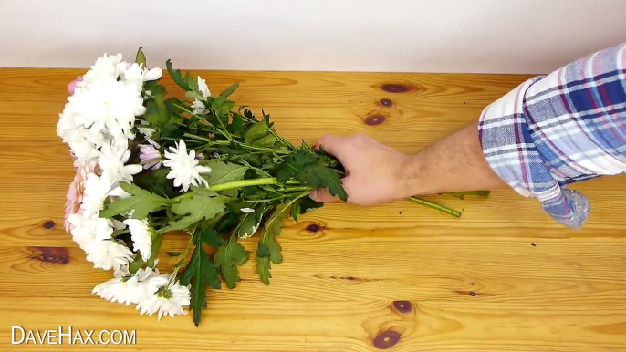 Flower Arranging Trick