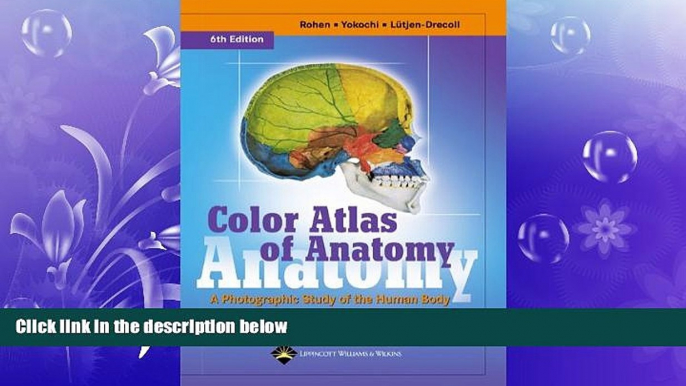 Big Deals  Color Atlas of Anatomy: A Photographic Study of the Human Body (Color Atlas of Anatomy