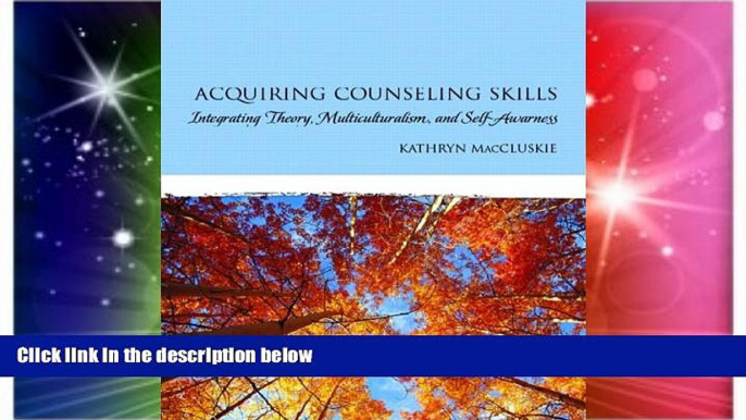 Big Deals  Acquiring Counseling Skills: Integrating Theory, Multiculturalism, and Self-Awareness