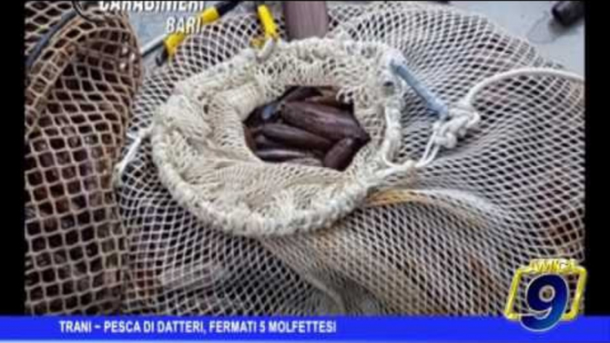 Trani |  Pesca di datteri, denunciati 5 molfettesi