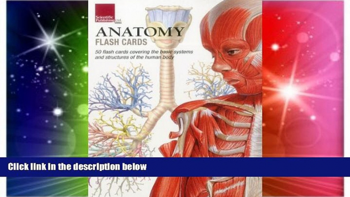 Big Deals  Anatomy Flash Cards  Best Seller Books Best Seller