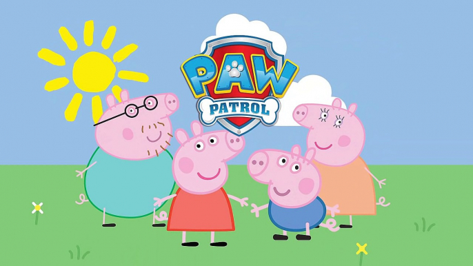 Peppa Pig English - Paw Patrol costumes - Cartoon For kids - Disfraces de la patrulla canina