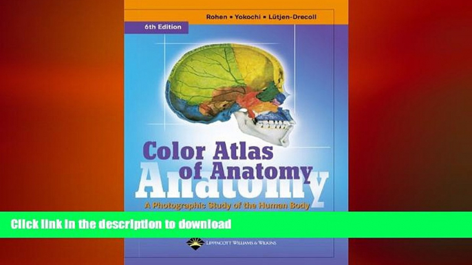 READ  Color Atlas of Anatomy: A Photographic Study of the Human Body (Color Atlas of Anatomy