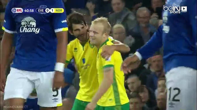 Steven Naismith goal vs Everton (0-1)