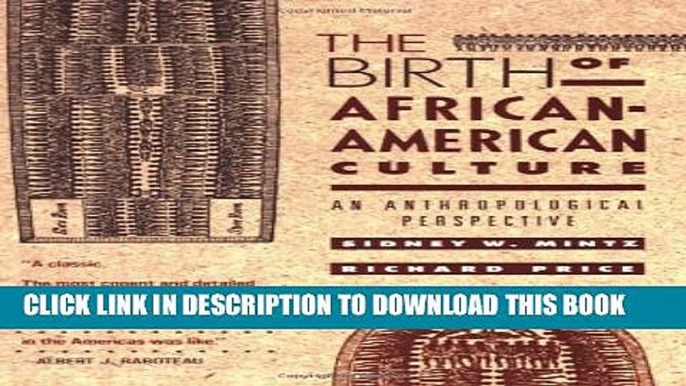 New Book The Birth of African-American Culture: An Anthropological Perspective