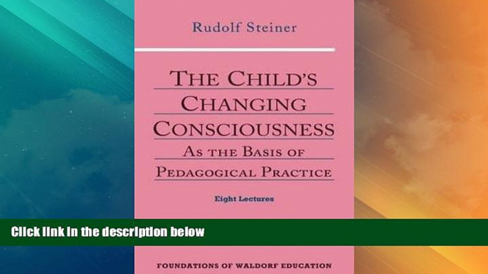 Big Deals  The Child s Changing Consciousness: As the Basis of Pedagogical Practice (Foundations