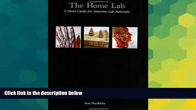 Big Deals  The Home Lab: A Photo Guide for Anatomy Lab Materials  Best Seller Books Best Seller