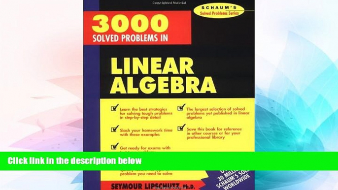 Big Deals  3,000 Solved Problems in Linear Algebra  Free Full Read Most Wanted