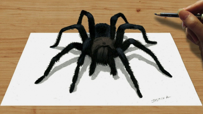 Speed Drawing of 3D Black Spider How to Draw Time Lapse Art Video Colored Pencil Illustration Artwork Draw Realism