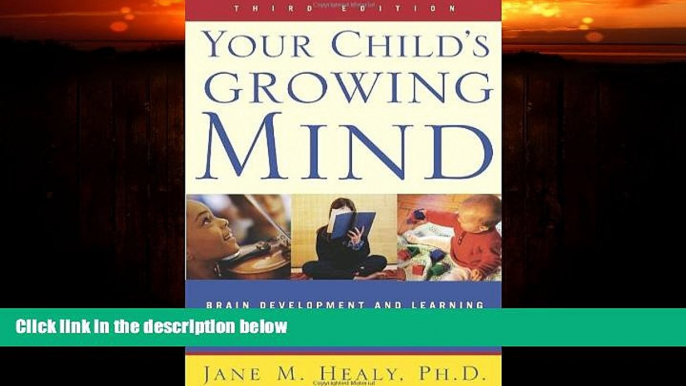 Big Deals  Your Child s Growing Mind: Brain Development and Learning From Birth to Adolescence