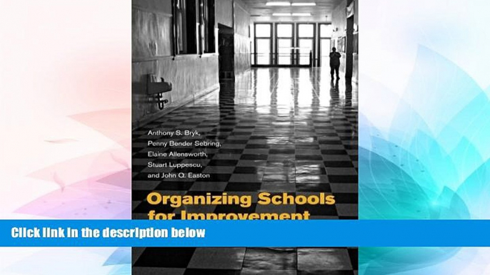 Big Deals  Organizing Schools for Improvement: Lessons from Chicago  Free Full Read Best Seller