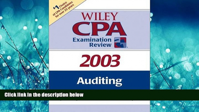 Online eBook Auditing (Wiley CPA Examination Review 2003)