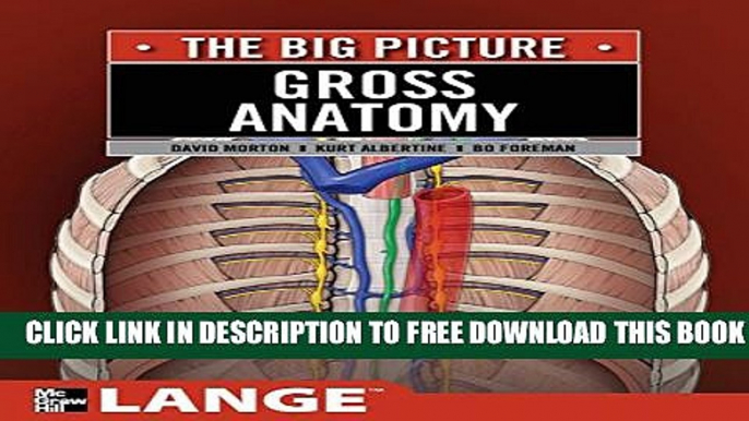 Collection Book Gross Anatomy: The Big Picture (LANGE The Big Picture)