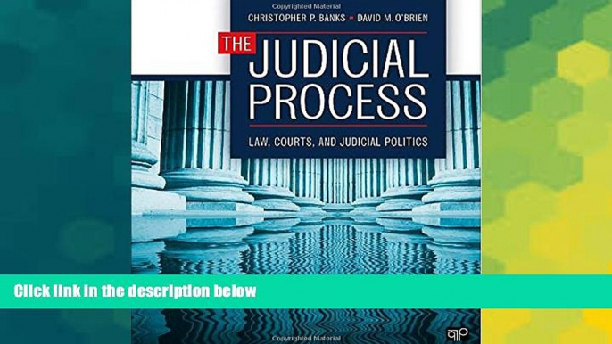 Must Have  The Judicial Process: Law, Courts, and Judicial Politics  READ Ebook Full Ebook