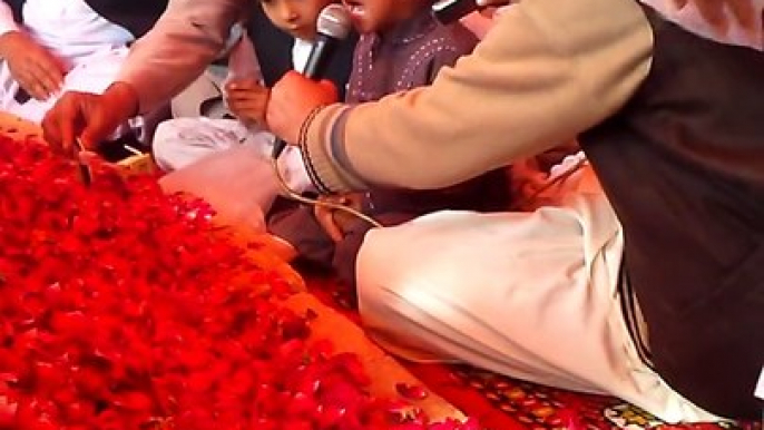 Hafiz Ali Raza Qadri With Son of Ghazi Mumtaz Hussain Qadri MUhammad Ali Raza Reciting  Naat e Rasool