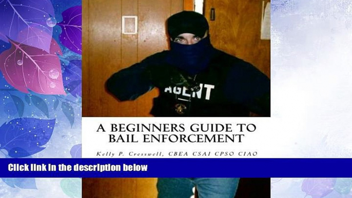 Big Deals  A Beginners Guide To BAIL ENFORCEMENT: bounty hunter, bail agent, bail enforcement,