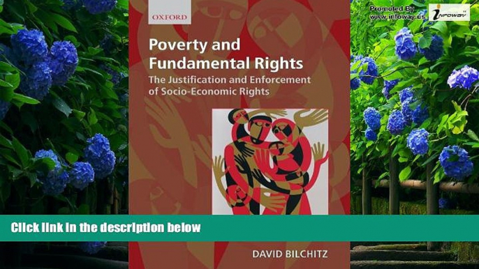 Big Deals  Poverty and Fundamental Rights: The Justification and Enforcement of Socio-economic