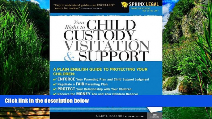 Big Deals  Your Right to Child Custody, Visitation and Support (Legal Survival Guides)  Full