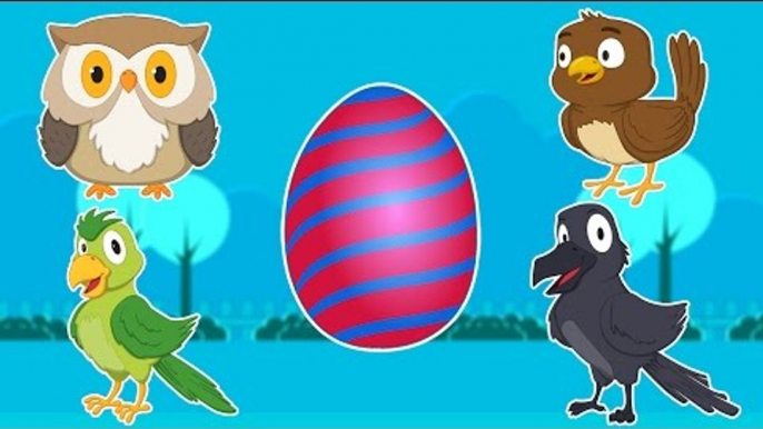 Birds | Surprise Eggs | Learn Birds Names And Sounds With Suprise Egss For Kids