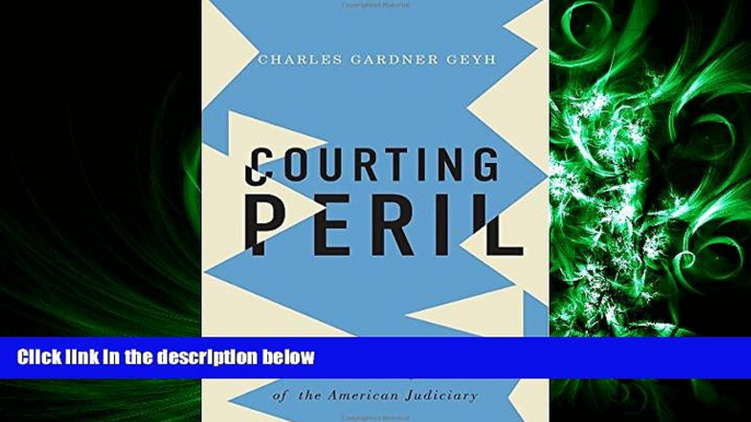 GET PDF  Courting Peril: The Political Transformation of the American Judiciary