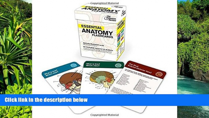 Big Deals  Essential Anatomy Flashcards (Graduate School Test Preparation)  Best Seller Books Best