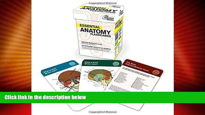 Big Deals  Essential Anatomy Flashcards (Graduate School Test Preparation)  Best Seller Books Best