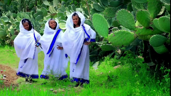 Alula Gebremariam - Seb Kem Falu   New Ethiopian Tigrigna Music (Official Video)