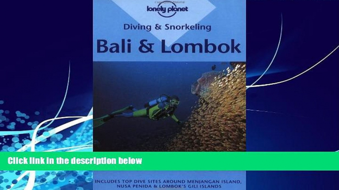 Big Deals  Diving and Snorkeling Bali and Lombok (Lonely Planet)  Free Full Read Most Wanted