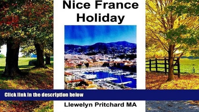 Big Deals  Nice France Holiday: Talousarvio Lyhyen Tauon Loma (Illustrated Diaries of Llewelyn